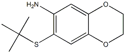 7-(tert-butylsulfanyl)-2,3-dihydro-1,4-benzodioxin-6-amine 结构式