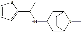 8-methyl-N-[1-(thiophen-2-yl)ethyl]-8-azabicyclo[3.2.1]octan-3-amine 结构式