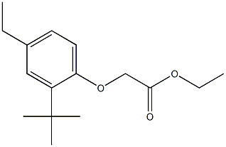 ethyl 2-(2-tert-butyl-4-ethylphenoxy)acetate 结构式