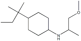 N-(1-methoxypropan-2-yl)-4-(2-methylbutan-2-yl)cyclohexan-1-amine 结构式