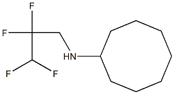 N-(2,2,3,3-tetrafluoropropyl)cyclooctanamine 结构式