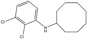 N-(2,3-dichlorophenyl)cyclooctanamine 结构式