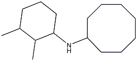 N-(2,3-dimethylcyclohexyl)cyclooctanamine 结构式