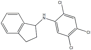 N-(2,4,5-trichlorophenyl)-2,3-dihydro-1H-inden-1-amine 结构式