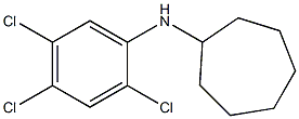 N-(2,4,5-trichlorophenyl)cycloheptanamine 结构式