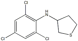 N-(2,4,6-trichlorophenyl)thiolan-3-amine 结构式