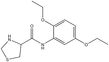 N-(2,5-diethoxyphenyl)-1,3-thiazolidine-4-carboxamide 结构式