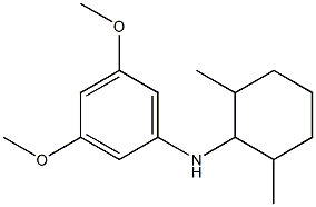 N-(2,6-dimethylcyclohexyl)-3,5-dimethoxyaniline 结构式