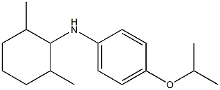 N-(2,6-dimethylcyclohexyl)-4-(propan-2-yloxy)aniline 结构式