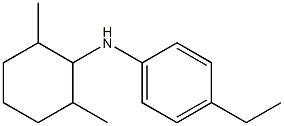 N-(2,6-dimethylcyclohexyl)-4-ethylaniline 结构式