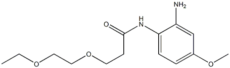 N-(2-amino-4-methoxyphenyl)-3-(2-ethoxyethoxy)propanamide 结构式