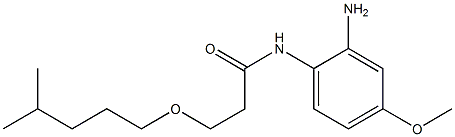 N-(2-amino-4-methoxyphenyl)-3-[(4-methylpentyl)oxy]propanamide 结构式