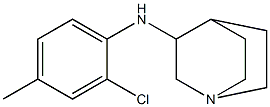 N-(2-chloro-4-methylphenyl)-1-azabicyclo[2.2.2]octan-3-amine 结构式