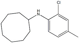 N-(2-chloro-4-methylphenyl)cyclooctanamine 结构式