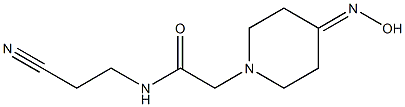 N-(2-cyanoethyl)-2-[4-(hydroxyimino)piperidin-1-yl]acetamide 结构式