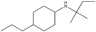 N-(2-methylbutan-2-yl)-4-propylcyclohexan-1-amine 结构式