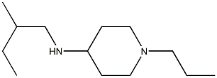 N-(2-methylbutyl)-1-propylpiperidin-4-amine 结构式