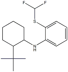 N-(2-tert-butylcyclohexyl)-2-[(difluoromethyl)sulfanyl]aniline 结构式