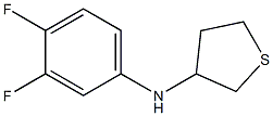 N-(3,4-difluorophenyl)thiolan-3-amine 结构式