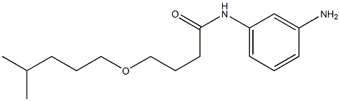 N-(3-aminophenyl)-4-[(4-methylpentyl)oxy]butanamide 结构式