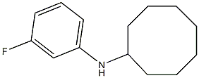 N-(3-fluorophenyl)cyclooctanamine 结构式