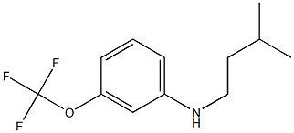 N-(3-methylbutyl)-3-(trifluoromethoxy)aniline 结构式