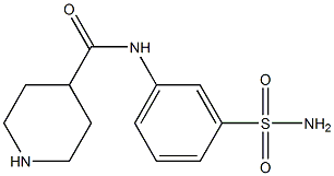 N-(3-sulfamoylphenyl)piperidine-4-carboxamide 结构式