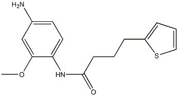 N-(4-amino-2-methoxyphenyl)-4-(thiophen-2-yl)butanamide 结构式