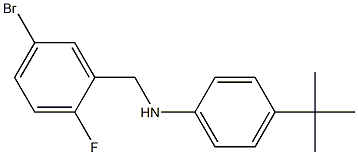 N-[(5-bromo-2-fluorophenyl)methyl]-4-tert-butylaniline 结构式