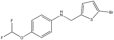 N-[(5-bromothiophen-2-yl)methyl]-4-(difluoromethoxy)aniline 结构式