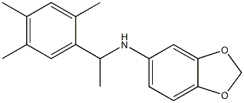 N-[1-(2,4,5-trimethylphenyl)ethyl]-2H-1,3-benzodioxol-5-amine 结构式