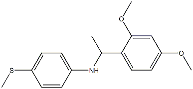 N-[1-(2,4-dimethoxyphenyl)ethyl]-4-(methylsulfanyl)aniline 结构式