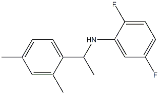 N-[1-(2,4-dimethylphenyl)ethyl]-2,5-difluoroaniline 结构式