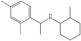 N-[1-(2,4-dimethylphenyl)ethyl]-2-methylcyclohexan-1-amine 结构式