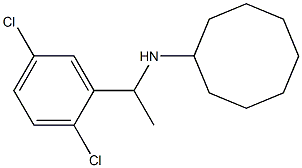 N-[1-(2,5-dichlorophenyl)ethyl]cyclooctanamine 结构式