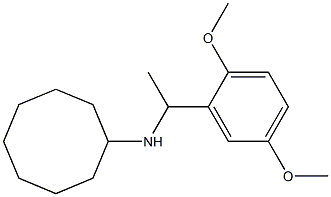 N-[1-(2,5-dimethoxyphenyl)ethyl]cyclooctanamine 结构式