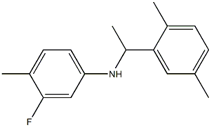 N-[1-(2,5-dimethylphenyl)ethyl]-3-fluoro-4-methylaniline 结构式