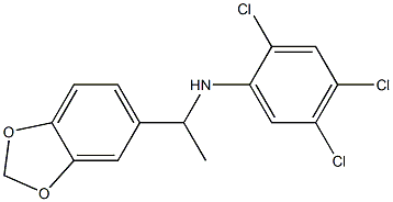 N-[1-(2H-1,3-benzodioxol-5-yl)ethyl]-2,4,5-trichloroaniline 结构式