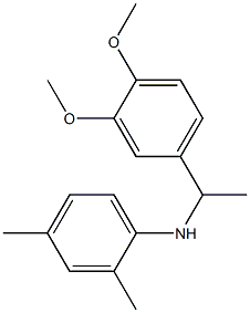 N-[1-(3,4-dimethoxyphenyl)ethyl]-2,4-dimethylaniline 结构式