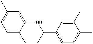 N-[1-(3,4-dimethylphenyl)ethyl]-2,5-dimethylaniline 结构式