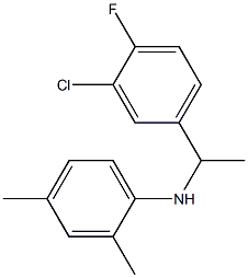 N-[1-(3-chloro-4-fluorophenyl)ethyl]-2,4-dimethylaniline 结构式