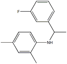 N-[1-(3-fluorophenyl)ethyl]-2,4-dimethylaniline 结构式