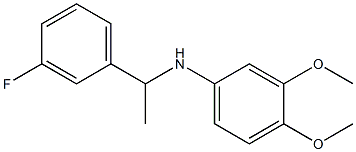 N-[1-(3-fluorophenyl)ethyl]-3,4-dimethoxyaniline 结构式