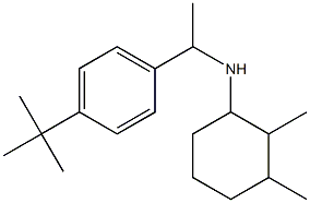 N-[1-(4-tert-butylphenyl)ethyl]-2,3-dimethylcyclohexan-1-amine 结构式