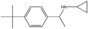 N-[1-(4-tert-butylphenyl)ethyl]-N-cyclopropylamine 结构式