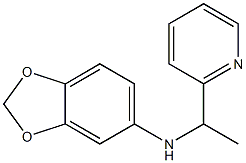 N-[1-(pyridin-2-yl)ethyl]-2H-1,3-benzodioxol-5-amine 结构式