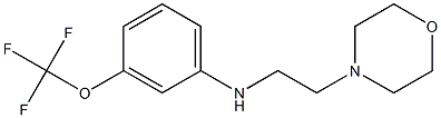 N-[2-(morpholin-4-yl)ethyl]-3-(trifluoromethoxy)aniline 结构式