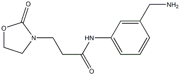 N-[3-(aminomethyl)phenyl]-3-(2-oxo-1,3-oxazolidin-3-yl)propanamide 结构式