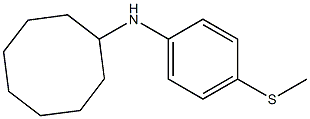 N-[4-(methylsulfanyl)phenyl]cyclooctanamine 结构式