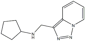 N-{[1,2,4]triazolo[3,4-a]pyridin-3-ylmethyl}cyclopentanamine 结构式